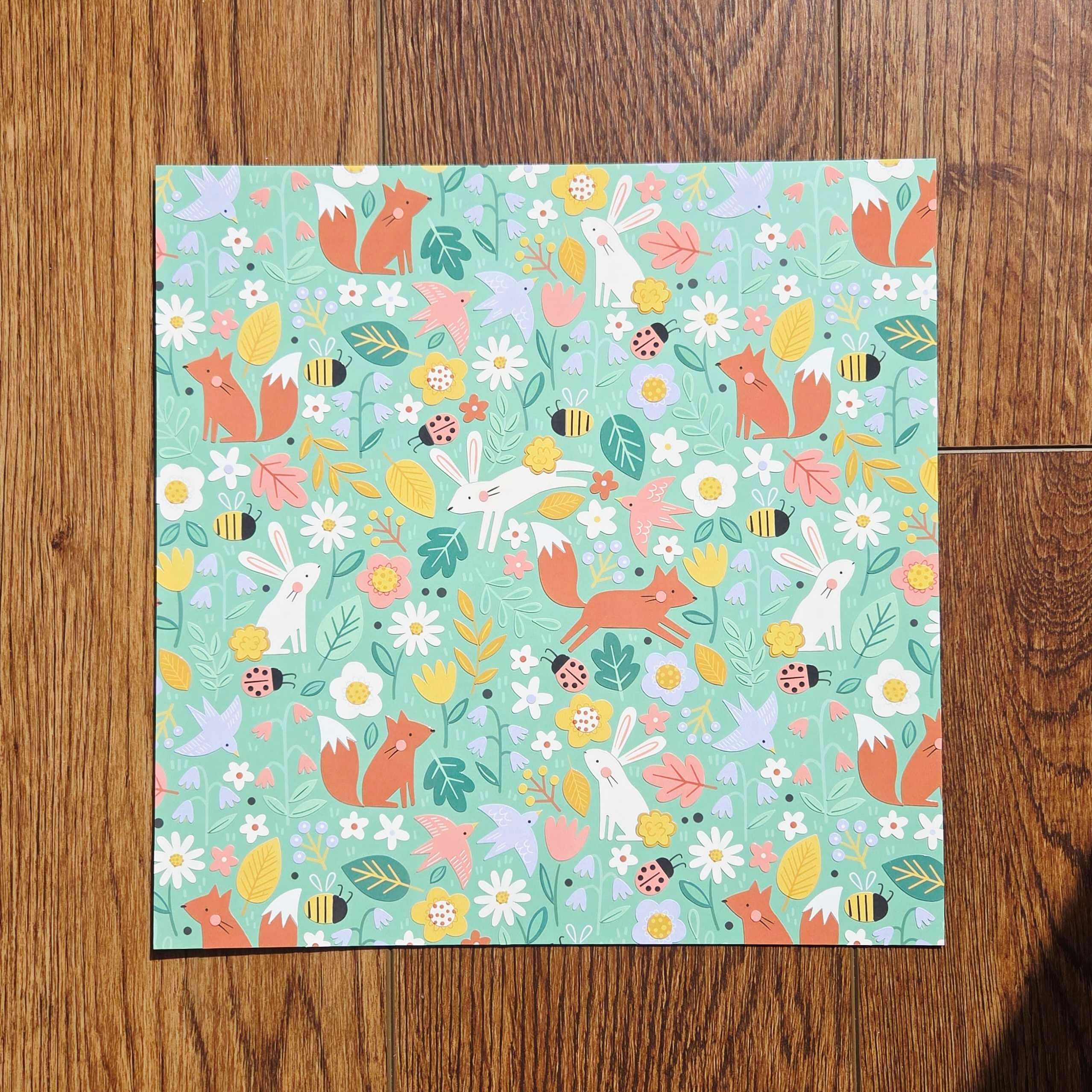 Vexyls Canvases