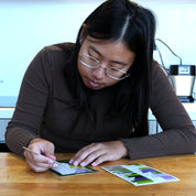 Novel Landscapes Collectible Cards