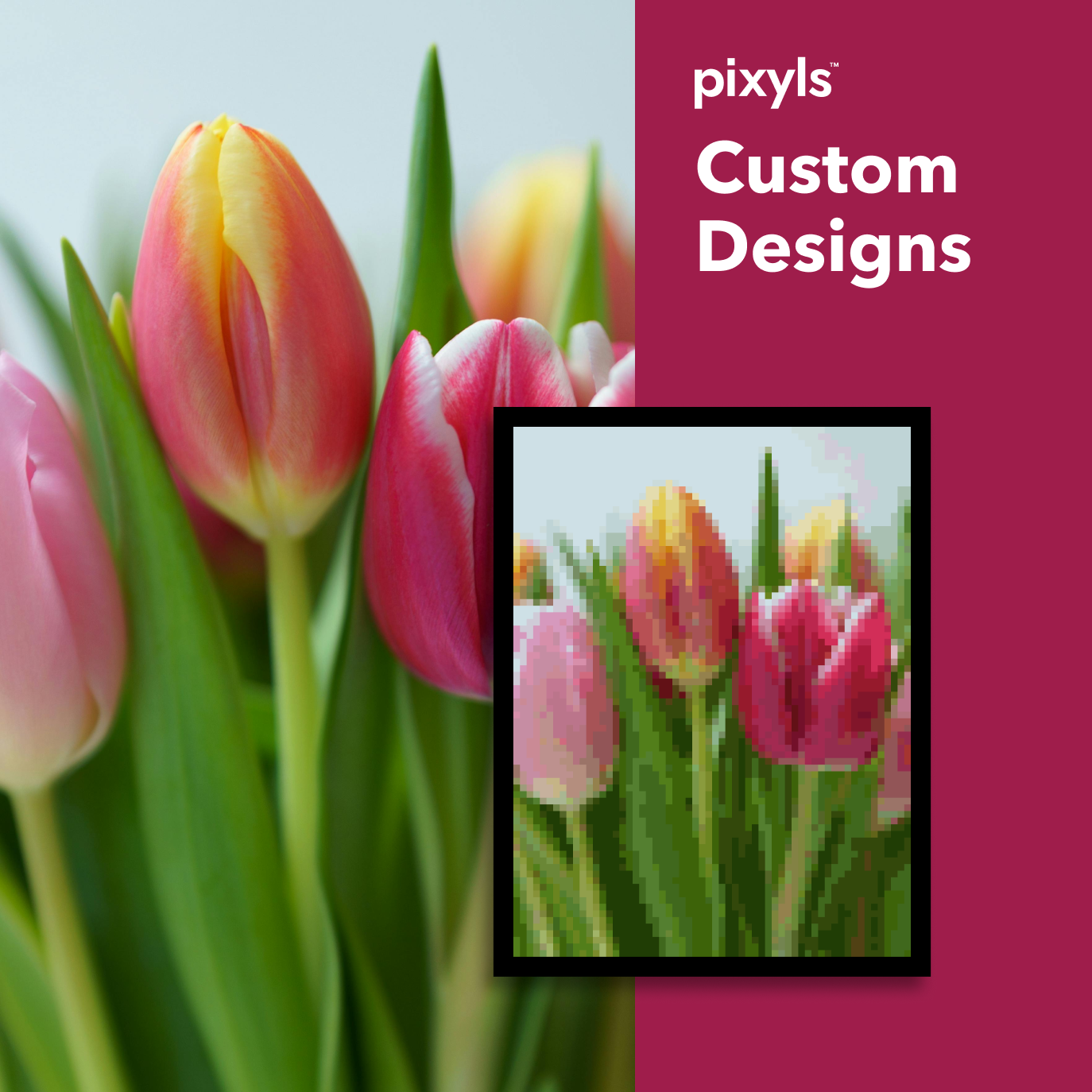 tulip.png